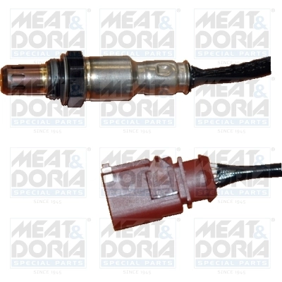 Oxygen Sensor